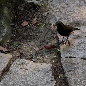 要玩就找老太婆
